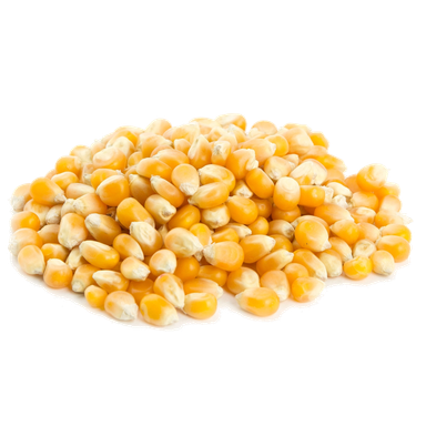 Jagung Biji (Grade B) 20kg