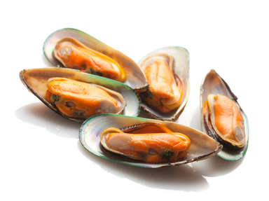 NZ Half Shell Mussels (800g - 900g)