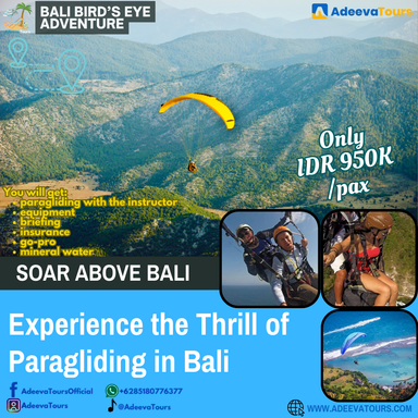 Paragliding in Bali: A Bird’s-Eye View