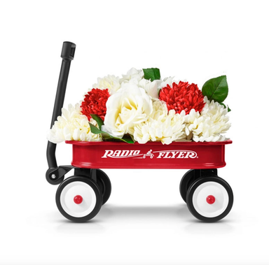 Radio Flyer Little Red Toy Wagon