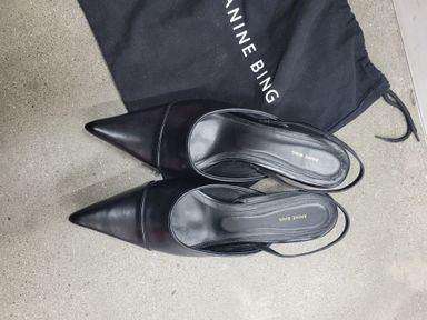 Anine Bing Willa slingbacks