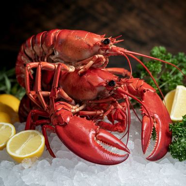 'Live' Boston Lobsters, 1kg (S$5.50 per 100g)