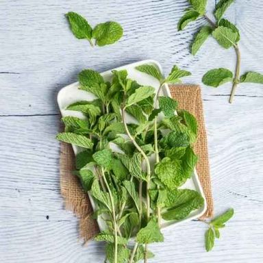 Mint Leaves (Approx. 80g - 100g)