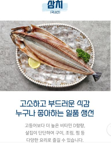 반건조 삼치 (350~460g)