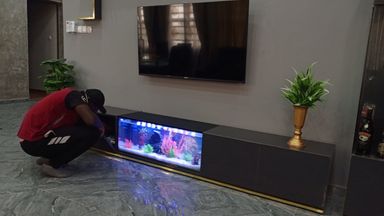 Aquarium pose tv