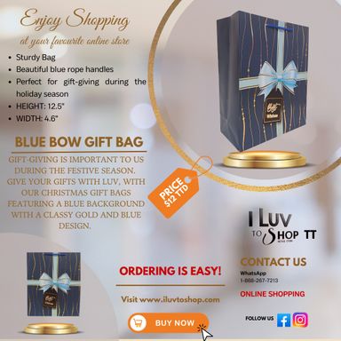 Blue Gift Bag