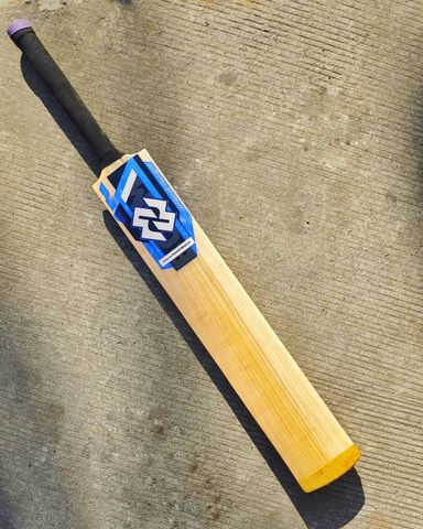 Limited Edition Gold Bat