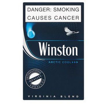 Winston Arctic Cool Mint 20's