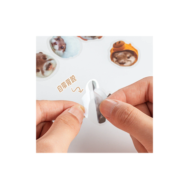 Otter & Panda Sticker Packs