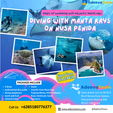 Dive with Manta Rays in Nusa Penida