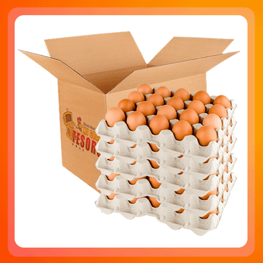 Caja Huevos AA