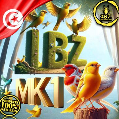 IBZ-MK1