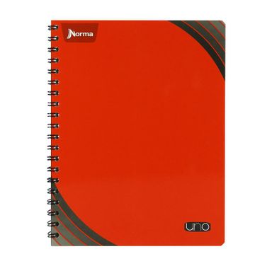 Cuaderno Profesional Norma Uno 100hj.