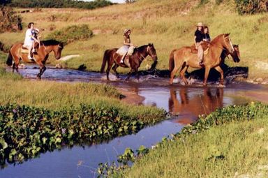 Servicios de Turismo Rural 