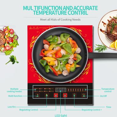 Induction Cooker