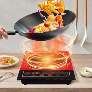 Induction Cooker