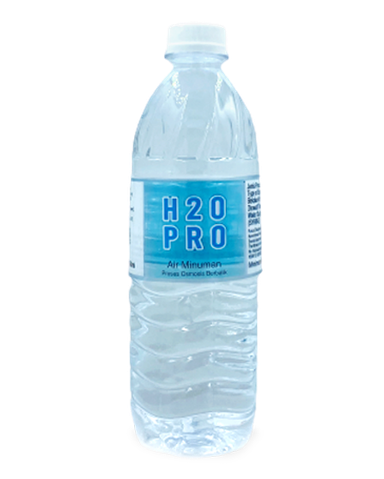 Drinking Water H2O Pro 500mlx24 (D-00574)