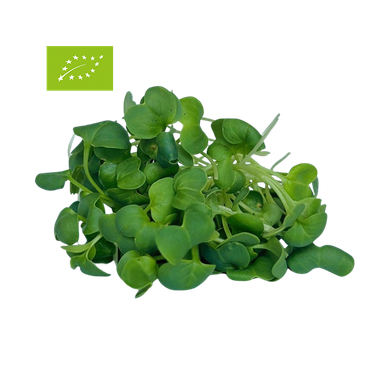 ΡΑΠΑΝΙ (Radish) BIO 25gr