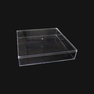 Clear 11 Plastic Box