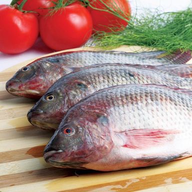 1kg Fresh Tilapia