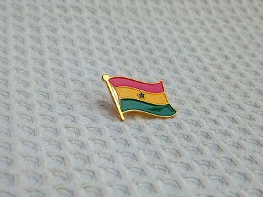 Coat of Arms Lapel pin