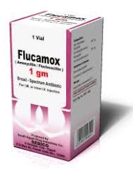 Flucamox Inj