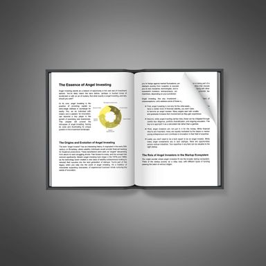 Angel Investing - Ebook