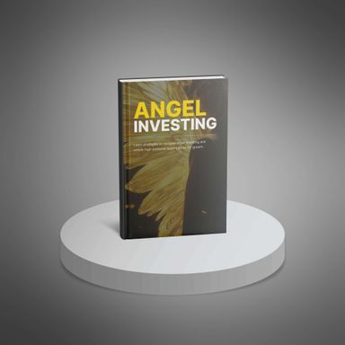 Angel Investing - Ebook