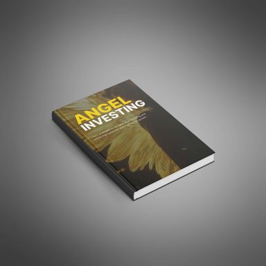 Angel Investing - Ebook