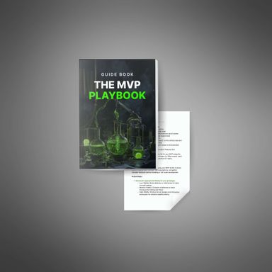 The MVP Playbook - Guide