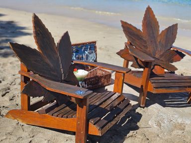  Private Hike & Cannabis Infused Vintage Beach Picnic Hamper