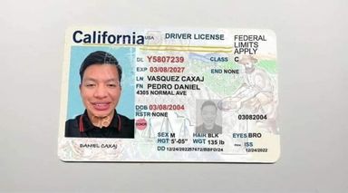 Driver's license 