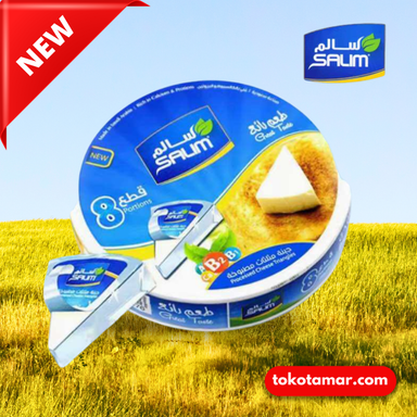 NEW! Salim Triangle Cheese