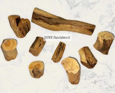 Shwe Sandalwood_ဩစတေးလျ တောင်နံကတိုး