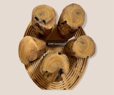 Shwe Sandalwood_ဩစတေးလျ တောင်နံကတိုး