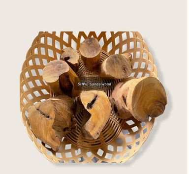 Shwe Sandalwood_ဩစတေးလျ တောင်နံကတိုး