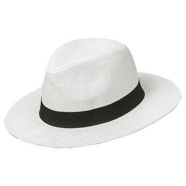 Havana Hat