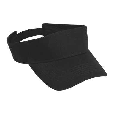 Arena Visor