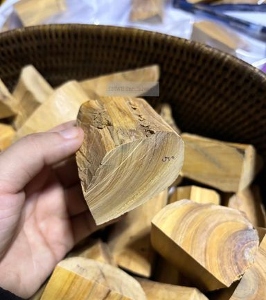 Shwe Sandalwood_ဩစတေးလျ တောင်နံကတိုး