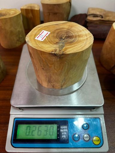 Shwe Sandalwood_ဩစတေးလျ တောင်နံကတိုး