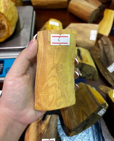 Shwe Sandalwood_ဩစတေးလျ တောင်နံကတိုး