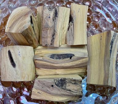 Shwe Sandalwood_ဩစတေးလျ တောင်နံကတိုး
