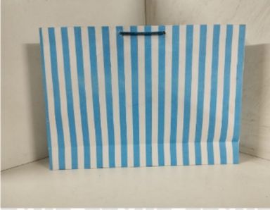 Bag Paper Stripes 13X18 in White Blue