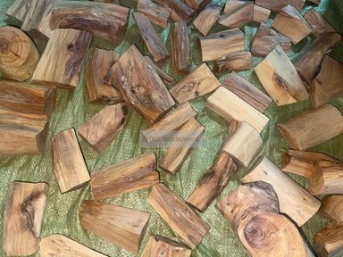 Shwe Sandalwood_ဩစတေးလျ တောင်နံကတိုး