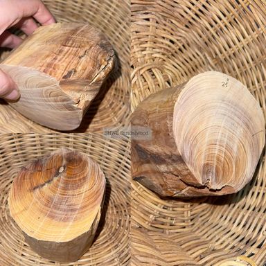 Shwe Sandalwood_ဩစတေးလျ တောင်နံကတိုး