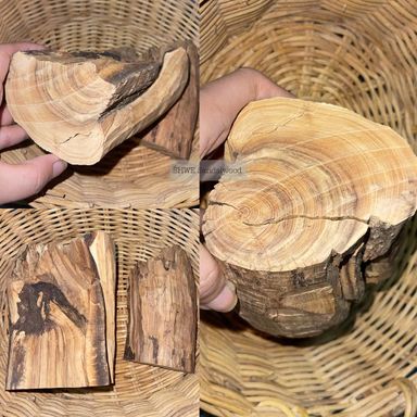 Shwe Sandalwood_ဩစတေးလျ တောင်နံကတိုး