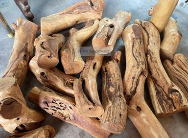 Shwe Sandalwood_ဩစတေးလျ တောင်နံကတိုး