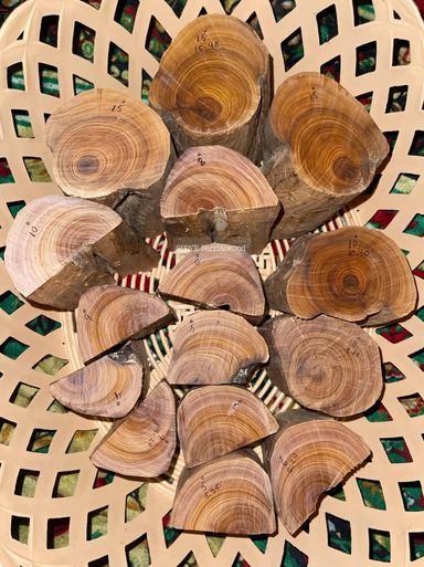 Shwe Sandalwood_ဩစတေးလျ တောင်နံကတိုး