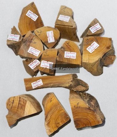 Shwe Sandalwood_ဩစတေးလျ တောင်နံကတိုး