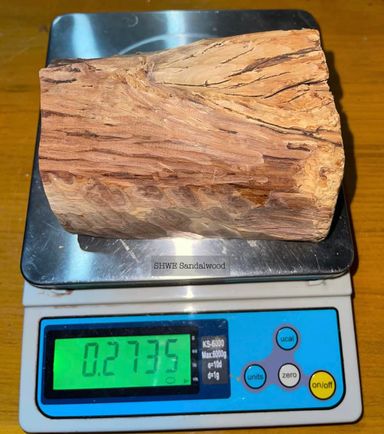 Shwe Sandalwood_ဩစတေးလျ တောင်နံကတိုး